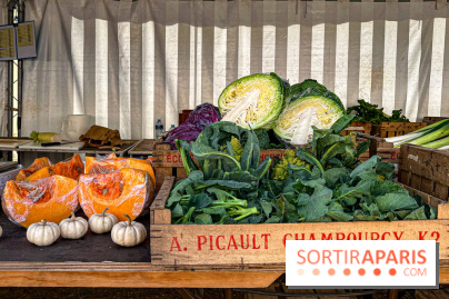 Les Saveurs du Potager du Roi à Versailles : marché de fruits & légumes, expositions et animations