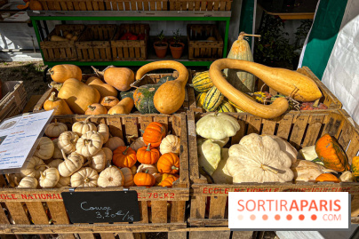 Les Saveurs du Potager du Roi à Versailles : marché de fruits & légumes, expositions et animations - image00092