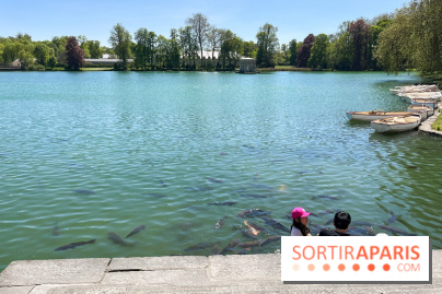 Etang aux carpes et barques - nos photos