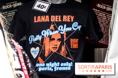 Rock en Seine 2024, nos photos