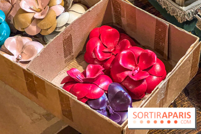 Ultramod, la plus ancienne mercerie de Paris - image00040