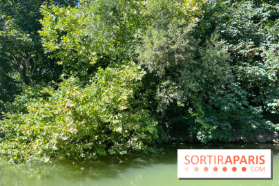 Marin d'eau douce Boulogne - nos photos