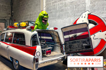 Musée Pop Central - voitures de cinéma et arcades vintage - image00071