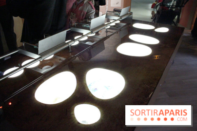 L'Arche des petites bêtes au Zoo de Thoiry