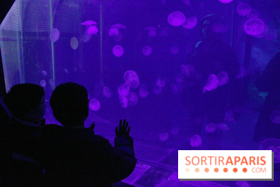 L'Arche des petites bêtes au Zoo de Thoiry