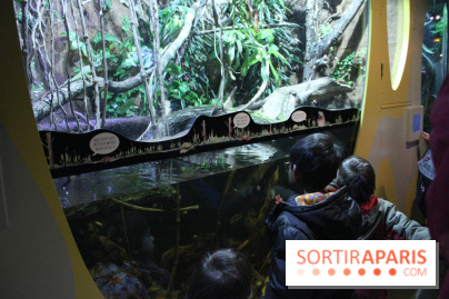 L'Arche des petites bêtes au Zoo de Thoiry