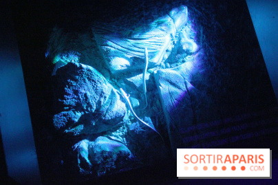 L'Arche des petites bêtes au Zoo de Thoiry