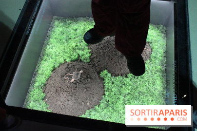 L'Arche des petites bêtes au Zoo de Thoiry