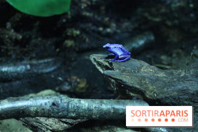 L'Arche des petites bêtes au Zoo de Thoiry