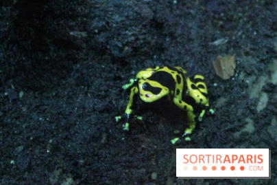 L'Arche des petites bêtes au Zoo de Thoiry