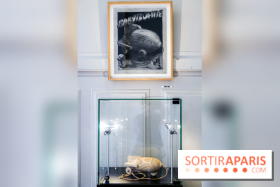 Renaud, des mots et des images, nos photos de l'expo