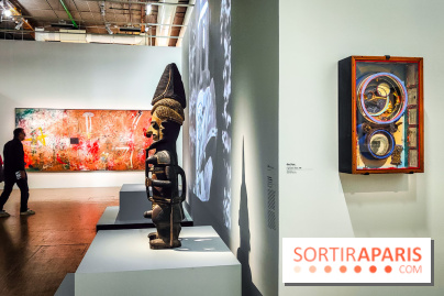 Le surréalisme : l'exposition exceptionnelle qui célèbre les 100 ans du mouvement au Centre Pompidou - IMG20240903165011