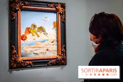 Le surréalisme : l'exposition exceptionnelle qui célèbre les 100 ans du mouvement au Centre Pompidou - IMG20240903162756