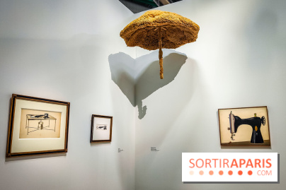 Le surréalisme : l'exposition exceptionnelle qui célèbre les 100 ans du mouvement au Centre Pompidou - IMG20240903162912