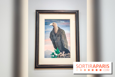 Le surréalisme : l'exposition exceptionnelle qui célèbre les 100 ans du mouvement au Centre Pompidou - IMG20240903163511