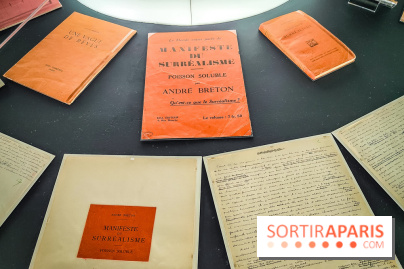 Le surréalisme : l'exposition exceptionnelle qui célèbre les 100 ans du mouvement au Centre Pompidou - IMG20240903165350