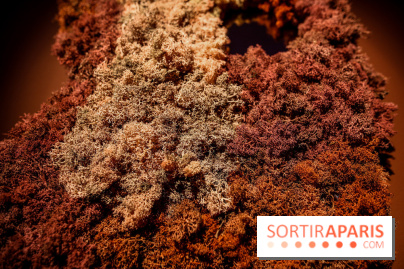“Forêts astrales” : nos photos de l'exposition gratuite à voir à l'Institut suédois à Paris