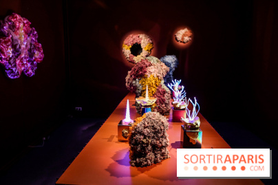 “Forêts astrales” : nos photos de l'exposition gratuite à voir à l'Institut suédois à Paris
