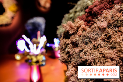 “Forêts astrales” : nos photos de l'exposition gratuite à voir à l'Institut suédois à Paris