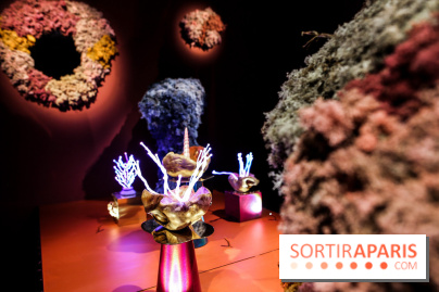 “Forêts astrales” : nos photos de l'exposition gratuite à voir à l'Institut suédois à Paris - IMG 5972