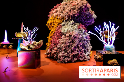 “Forêts astrales” : nos photos de l'exposition gratuite à voir à l'Institut suédois à Paris