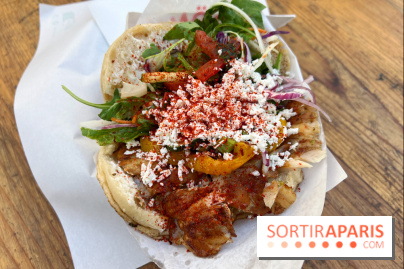 Sürpriz - Kebab döner