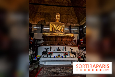 Asian Street Festival - les photos