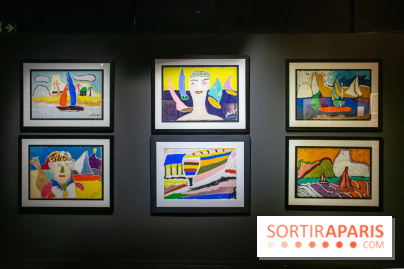 Exposition Malcolm de Chazal à la Halle Saint-Pierre - DSC 0996