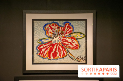 Exposition Malcolm de Chazal à la Halle Saint-Pierre - DSC 1000