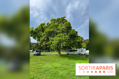 Parc Saint-Aubin Samoreau - nos photos - image00007