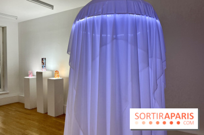 La lumière comme Matière, l'exposition de Meaghan Matthews au Centre Tignous - IMG 9650 2