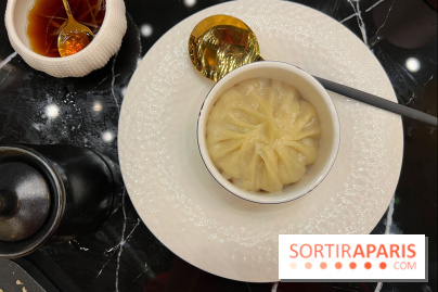 Moon Fusion - Moon xiaolongbao