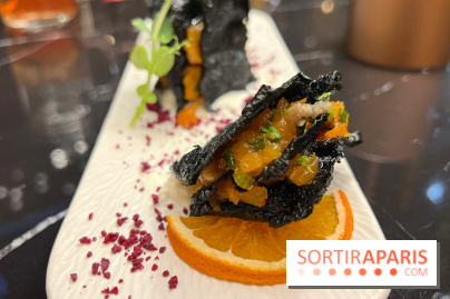 Moon Fusion - Black cripsy saumon