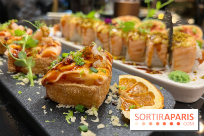 Moon Fusion - Tofu frit saumon