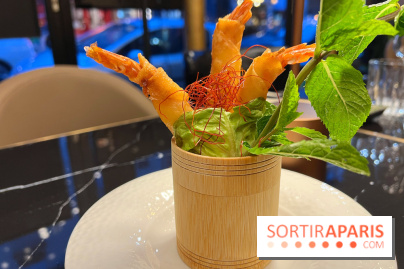 Moon Fusion - Nems crevettes