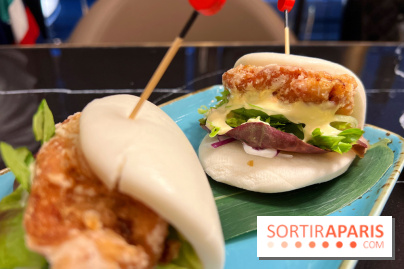 Moon Fusion - Bao poulet