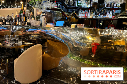 Moon Fusion - Décoration