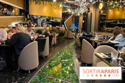 Moon Fusion - Décoration