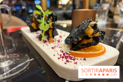 Moon Fusion - Black cripsy saumon