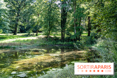 Le désert de Retz, le parc anglo-chinois insolite dans les Yvelines -  A7C2133