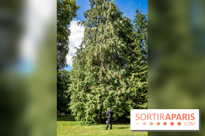 Le désert de Retz, le parc anglo-chinois insolite dans les Yvelines -  A7C2135