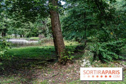 Le désert de Retz, le parc anglo-chinois insolite dans les Yvelines -  A7C2138