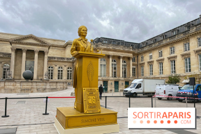 Les 10 femmes en or de la cérémonie d'ouverture - IMG 4512