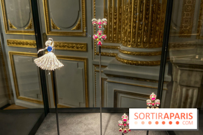 Divins Joyaux, à la recherche de la beauté - IMG 4565