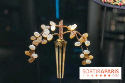 Divins Joyaux, à la recherche de la beauté - IMG 4584