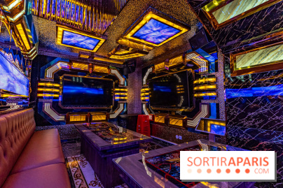 Viet 1331, le restaurant karaoké vietnamien immersif du 13e -  salle karaoké