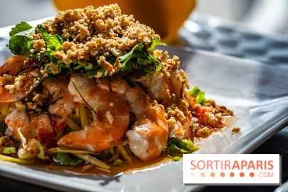 Viet 1331, le restaurant karaoké vietnamien immersif du 13e -  salade mangue et crevettes