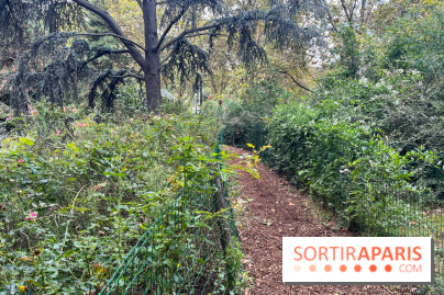 Square Sainte-Odile - nos photos - image00016