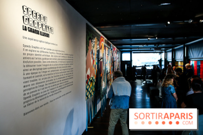 Speedy Graphito à Fluctuart, nos photos - IMG 6000