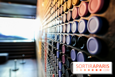 Speedy Graphito à Fluctuart, nos photos - IMG 6020